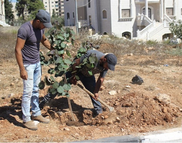 بلديــة بيتونيا تُباشر مشروع تخضير المديـنة وتدعو المؤسـسات لدعمه